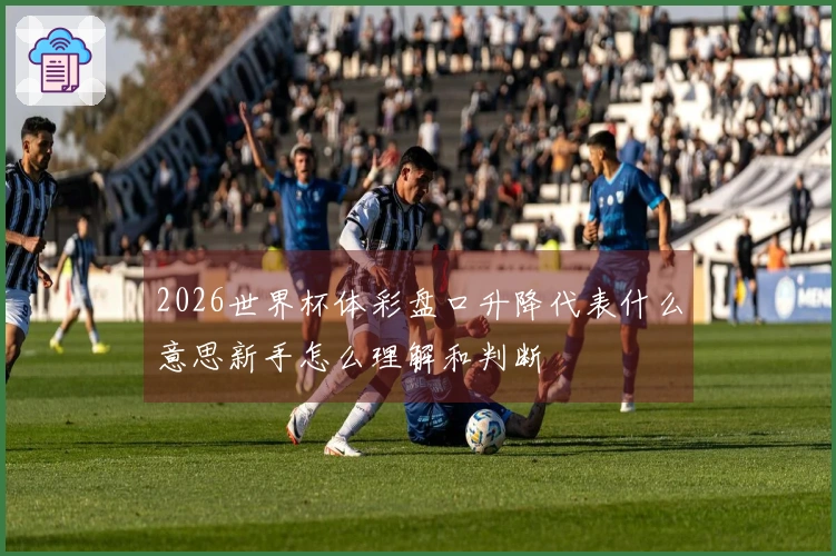 2026世界杯体彩盘口升降代表什么意思新手怎么理解和判断