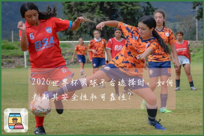 2026世界杯买球平台选择时，如何判断其安全性和可靠性？