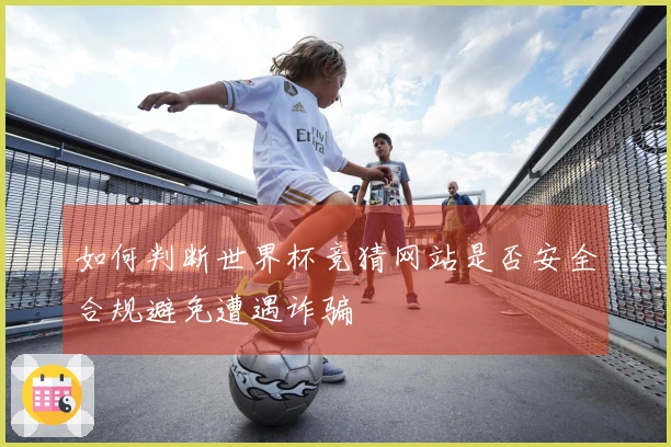 如何判断世界杯竞猜网站是否安全合规避免遭遇诈骗