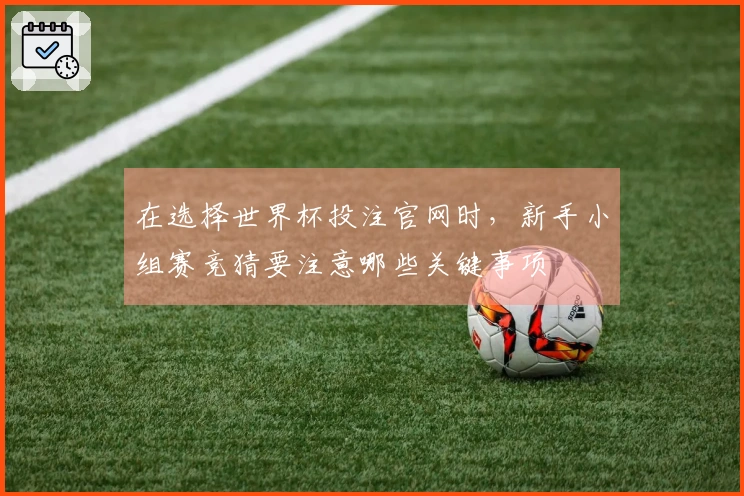 在选择世界杯投注官网时，新手小组赛竞猜要注意哪些关键事项