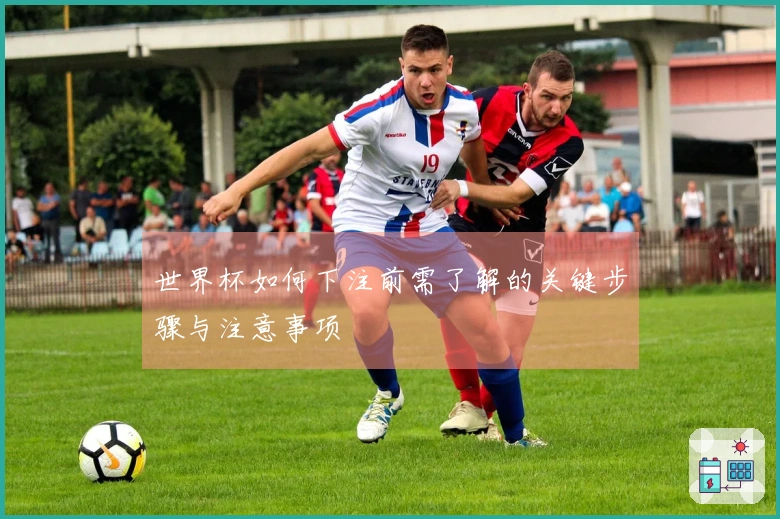 世界杯如何下注前需了解的关键步骤与注意事项