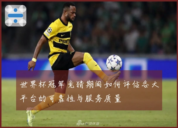 世界杯冠军竞猜期间如何评估各大平台的可靠性与服务质量