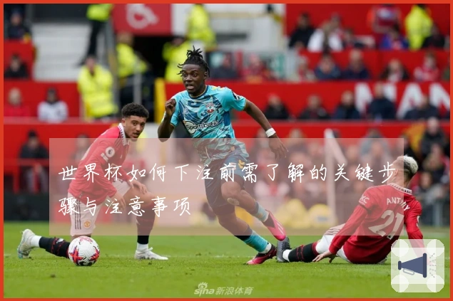 世界杯如何下注前需了解的关键步骤与注意事项